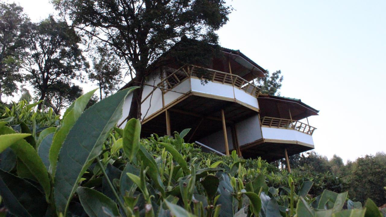 Vythiri Hills Hotell Eksteriør bilde
